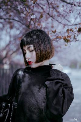 三年大片大全免费观看动漫